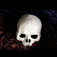NOMOY PET Skull Ornament NS-73 – Resin Aquarium & Terrarium Decor