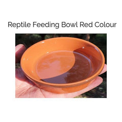 Reptile Feeding Dish Bowl – 9.5 × 2.6 cm Durable Food & Water Bowl for Reptiles, Amphibians & Small Pets