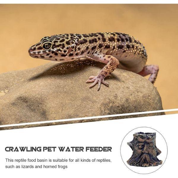 Reptile Food Water Bowl Imitating Natural Rock