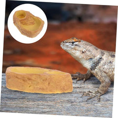 Reptile Feeding Bowl NS -11
