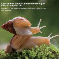 Snail Observor NF-33