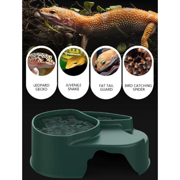 Nomoypet Multi-functional Reptile Feeder Bowl Hiding Place Shelter
