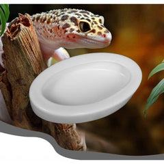 NOMOYPET Ceramic Reptile Food Water Bowl