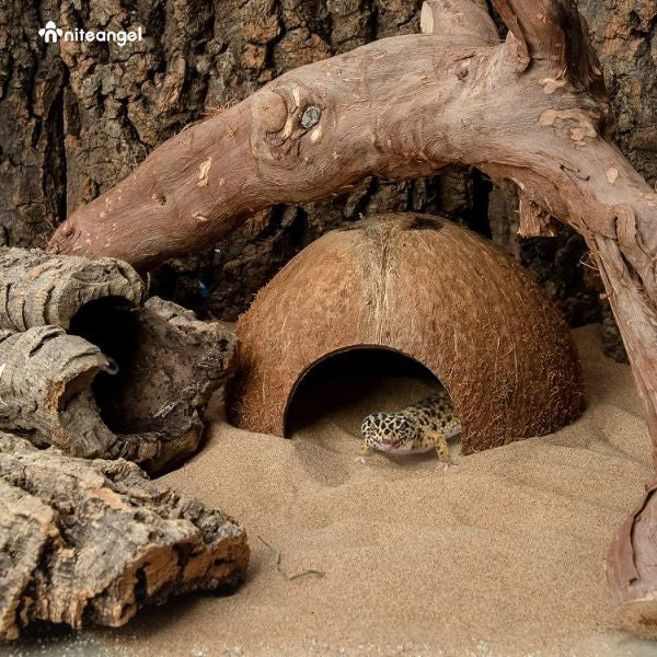 Coconut Reptile Hideouts, Lizard, Spider and Aquarium Fish Hide Cave