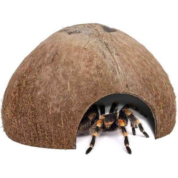 Coconut Reptile Hideouts, Lizard, Spider and Aquarium Fish Hide Cave