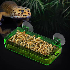Nomoypet Translucent Plastic Food Water 2 in 1 Reptile Feeding Bowl