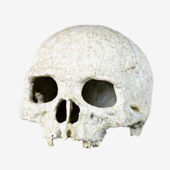 NOMOY PET Skull Ornament NS-73 – Resin Aquarium & Terrarium Decor