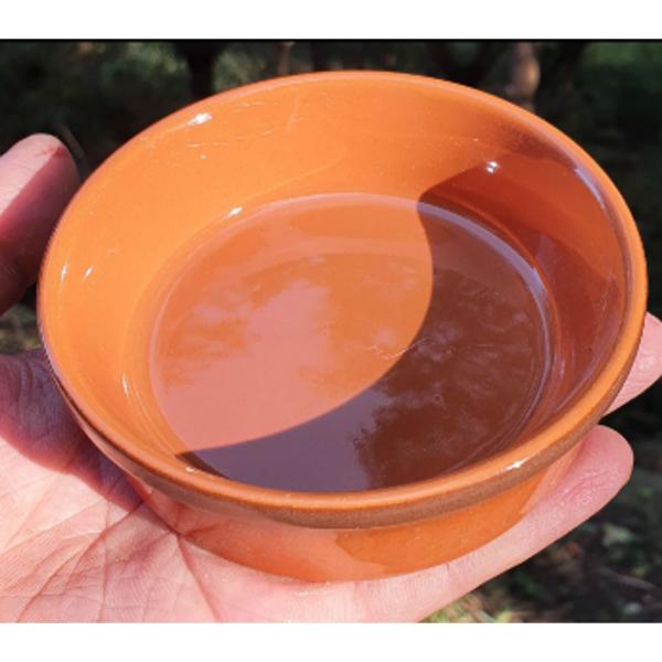 Reptile Feeding Dish Bowl – 9.5 × 2.6 cm Durable Food & Water Bowl for Reptiles, Amphibians & Small Pets