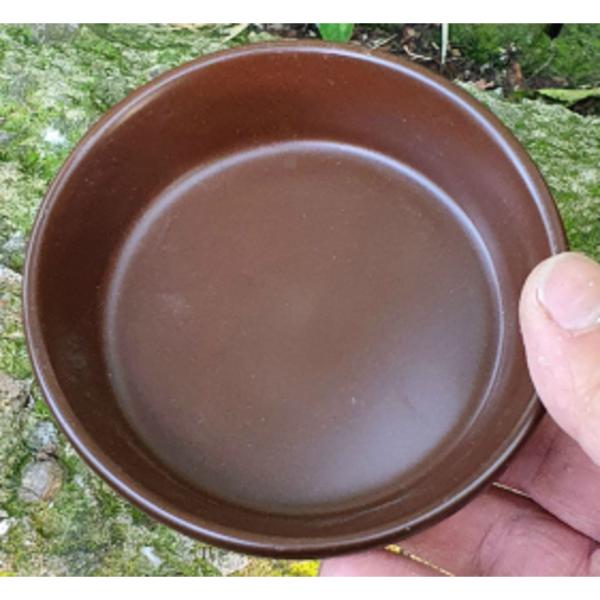 Reptile Feeding Dish Brown Color- 9.5x2.6cm