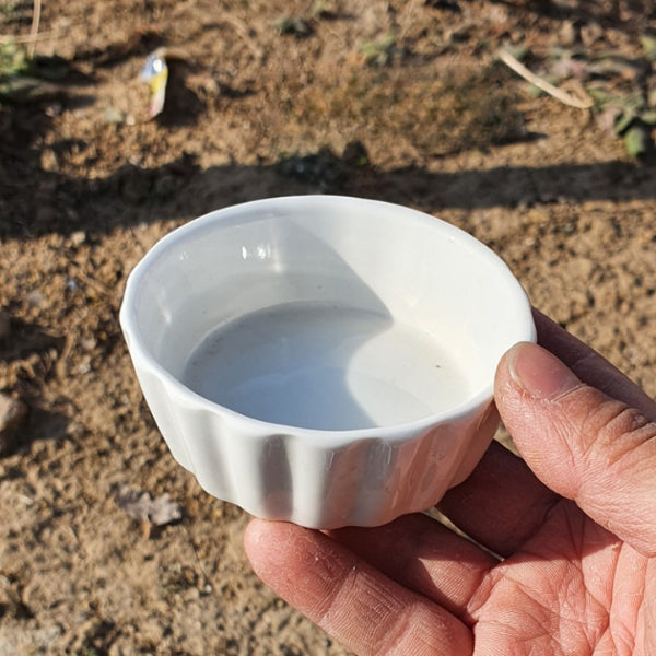 Ceramic Flower Edge Feeding Dish 8 × 3 cm – Small Reptile Food & Water Bowl for Terrariums