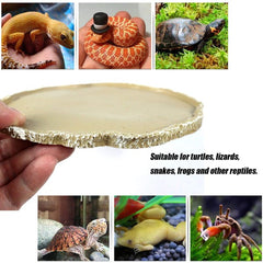 Feeding Plate Food Dish Vivarium Food Water Dish Resin Bowl 17.5x14x0.8CM