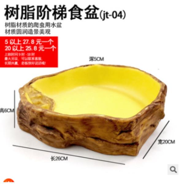 Reptile Water Bowl Terrarium Water Dish Food Feeding for Amphibian 5 Sizes