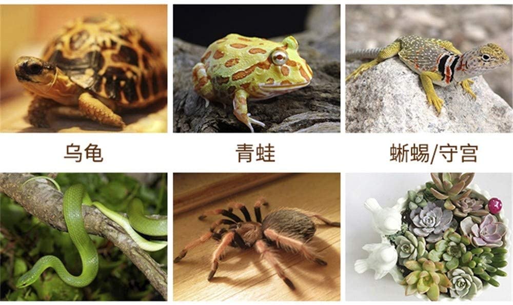 Pet Tortoise Snake Frog Bedding and Reptile Substrate Coconut Reptile Turtle Hibernate Supplies Moss Climbing Mat