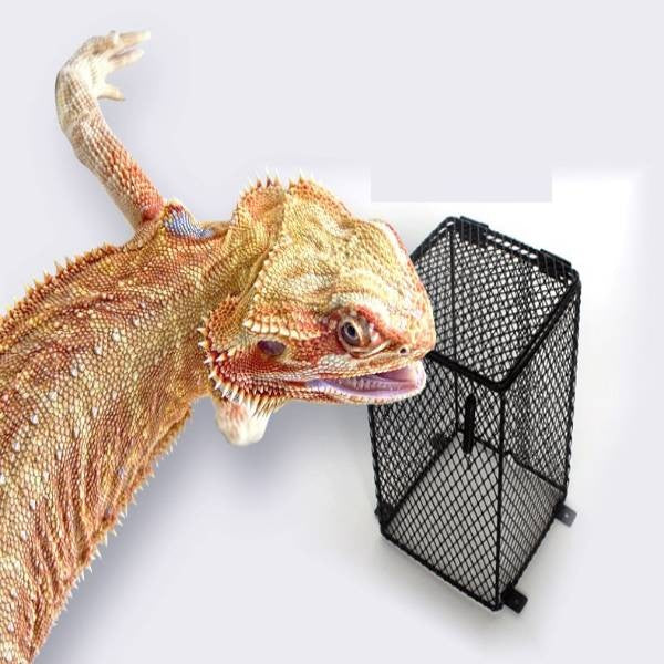 Reptile Anti-Scald Lamp Mesh Cover Square Heating Lampshade