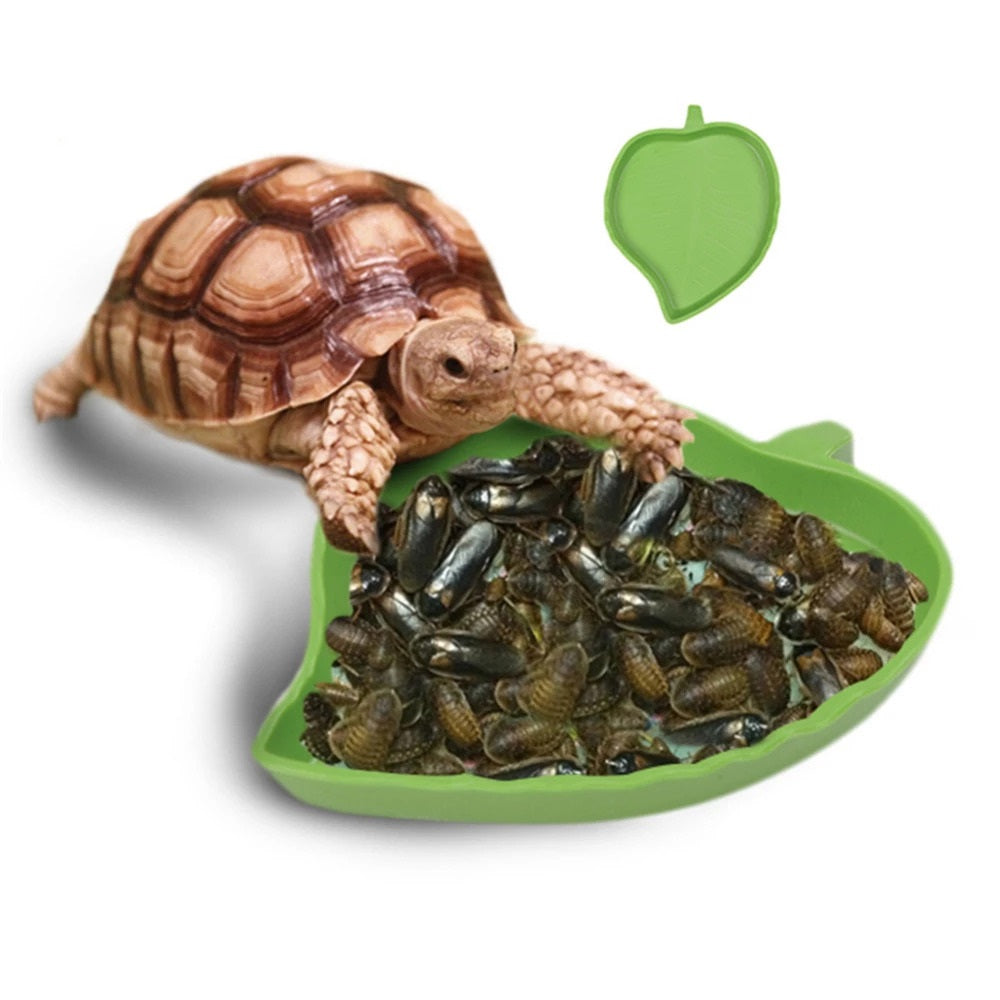 Leaf Shape Plastic Reptile Tortoise Water Dish Green Food Bowl Toy For Amphibians Gecko Snakes Lizard