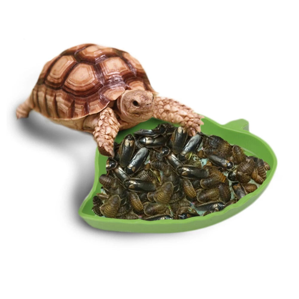 Leaf Shape Plastic Reptile Tortoise Water Dish Green Food Bowl Toy For Amphibians Gecko Snakes Lizard