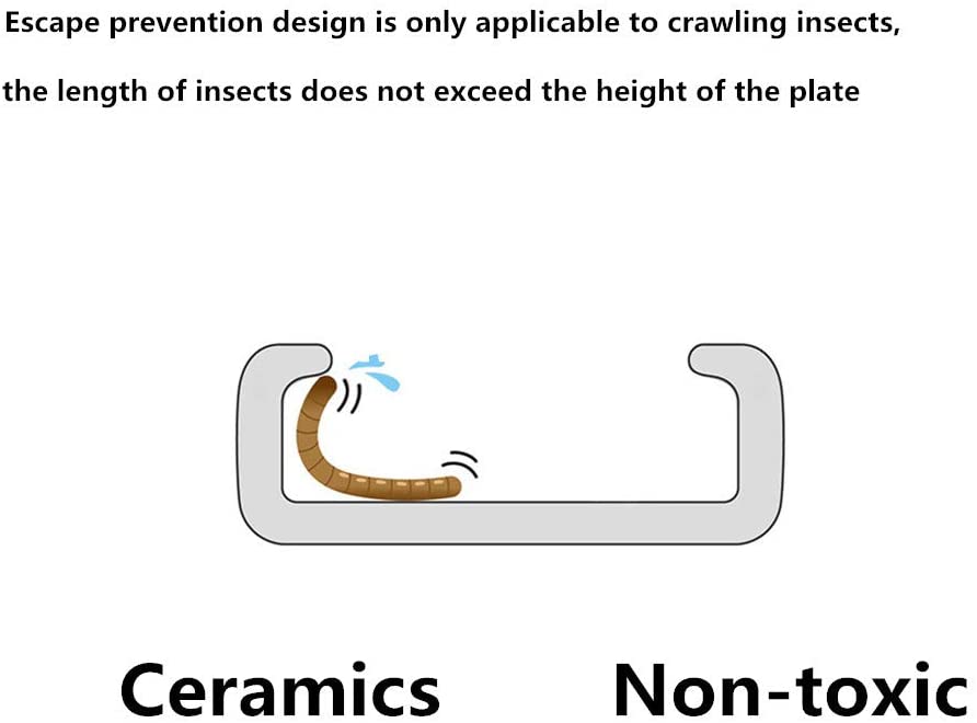 Smooth Ceramic Anti-Escape Worm Dish for Reptile Lizard Feeding Food Water Bowl