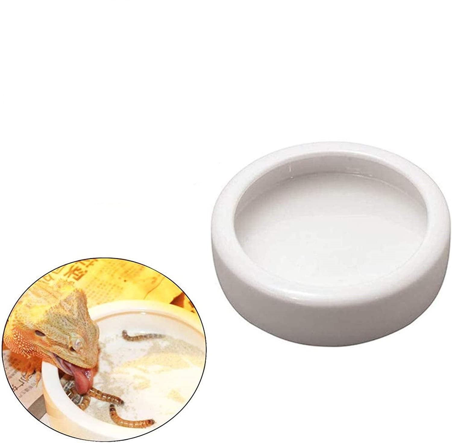 Smooth Ceramic Anti-Escape Worm Dish for Reptile Lizard Feeding Food Water Bowl