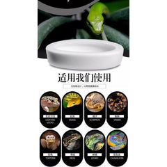 NOMOY PET White Ceramic Anti-escape Reptile Food Bowl NFF-49