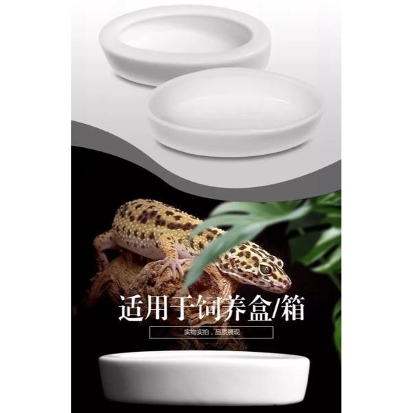 NOMOY PET White Ceramic Anti-escape Reptile Food Bowl NFF-49