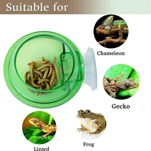 Reptile Feeding bowl with suction bowl 2.1x3.9x2.3 inch