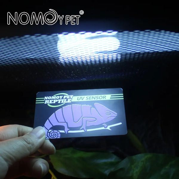 NOMOYPET New UV Test Card Sensor for Reptile