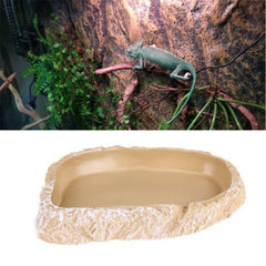 Brown Resin Terrarium Bowl Feeding Plate Water Food Dish Feeder for Reptiles